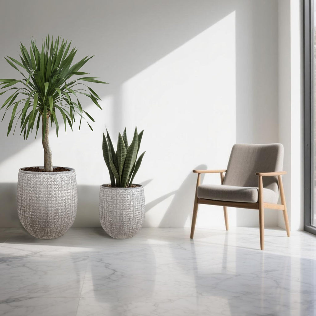 12" and 14.5" Round Planters, Lightweight Magnesium Oxide Cement Plant Pot, Raised Pattern Concrete Look with