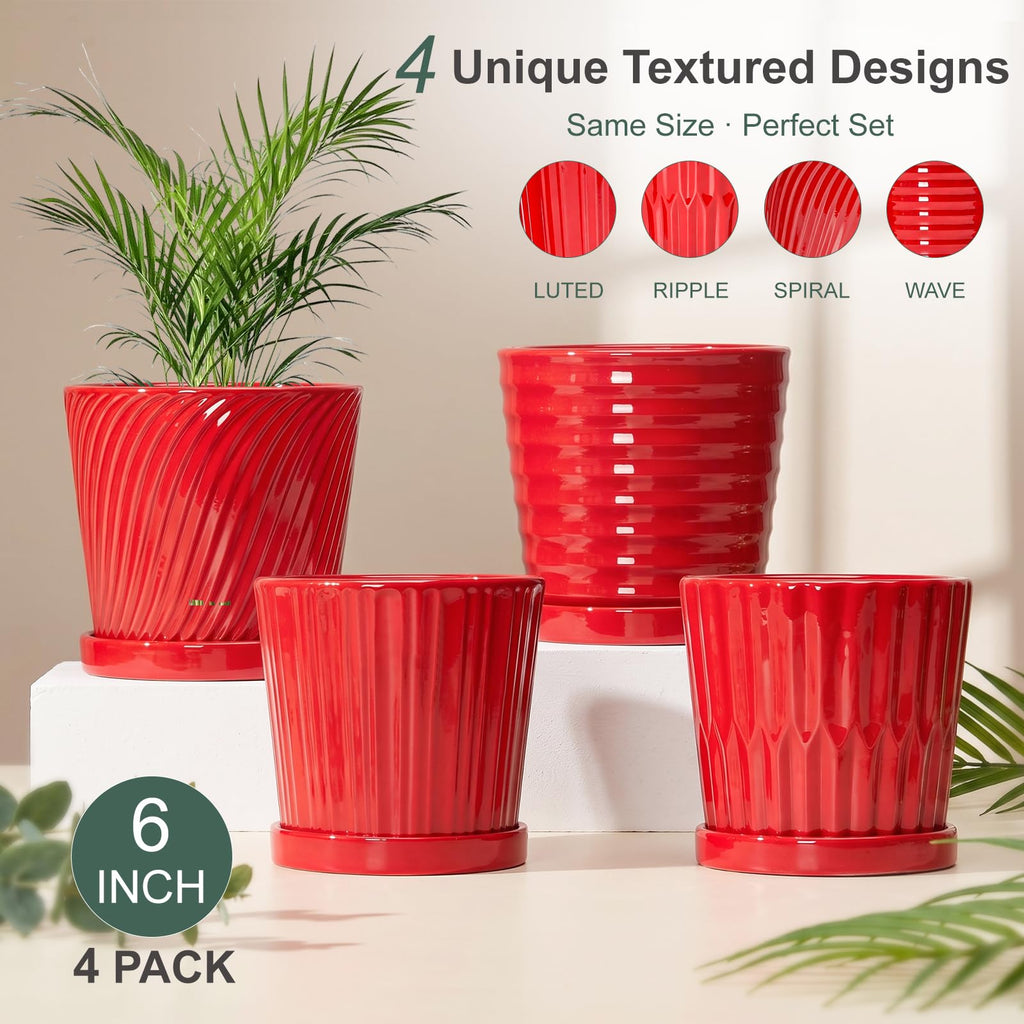 6 Inch Flower Pots for Plants, Ceramic Planter with Drainage and Saucer