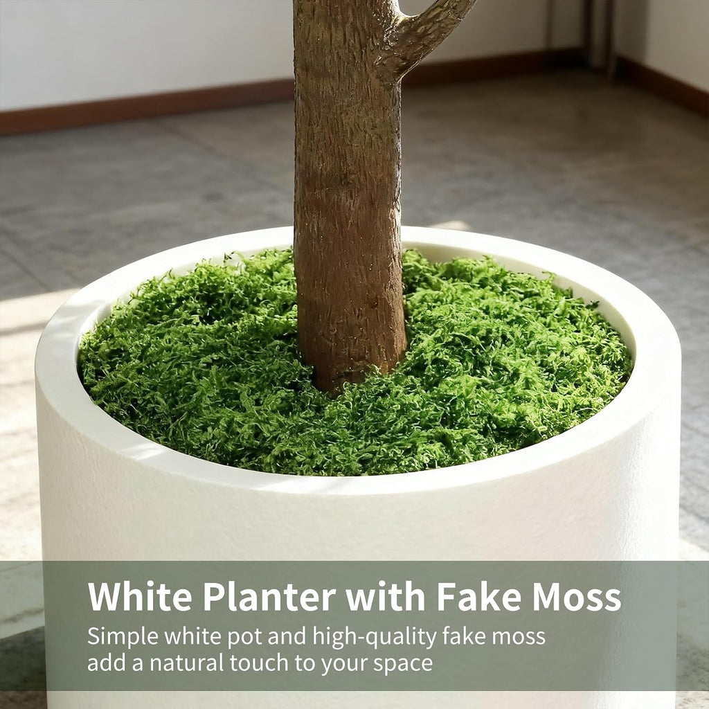 6FT Artificial Fiddle Leaf Fig Tree with White Planter & Fake Moss, Realistic Faux Ficus Lyrata Floor Plant Home