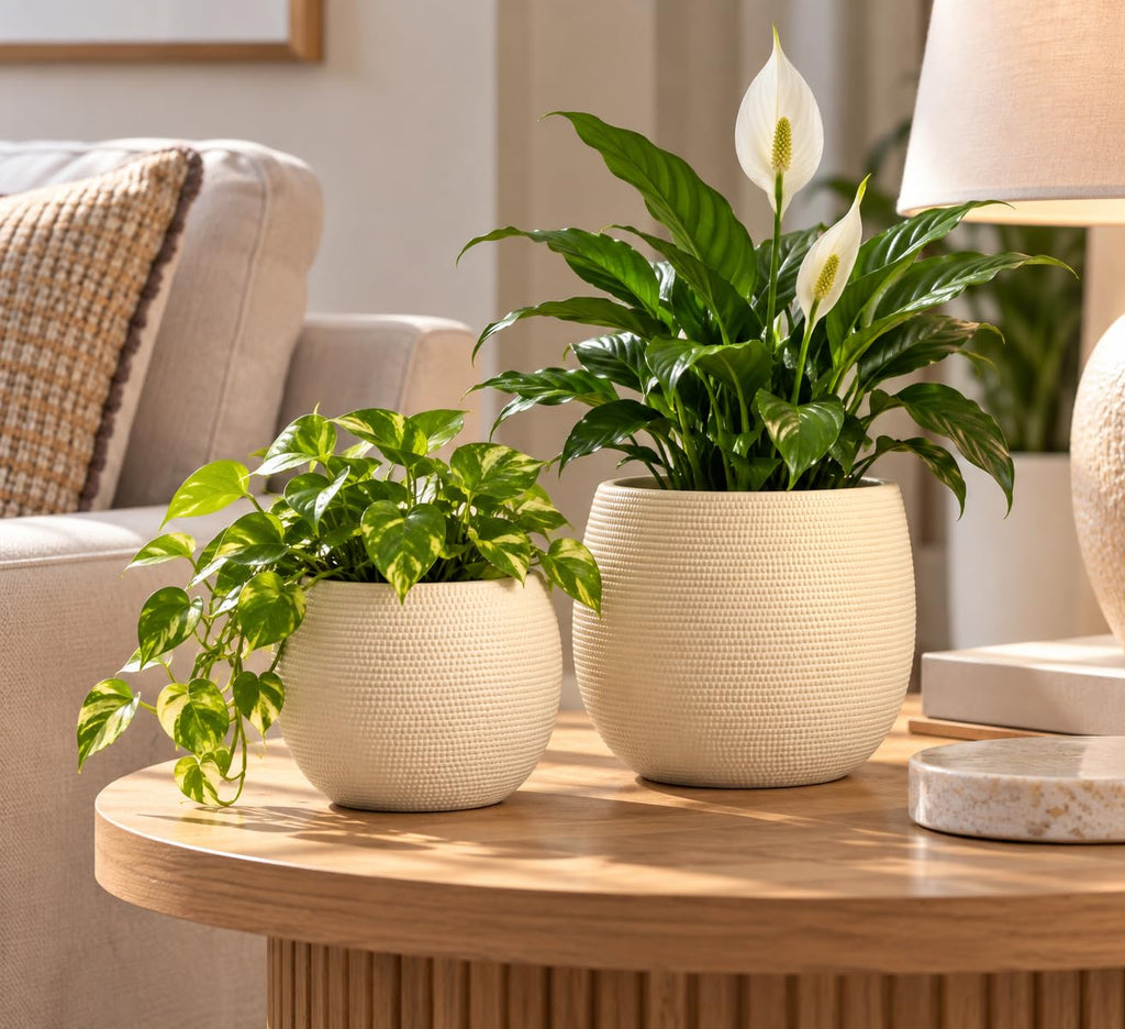 Barcelona Barcelona Ceramic Cement Plant Pot Set 2 - Beige Flower Pots - Indoor & Outdoor Planters