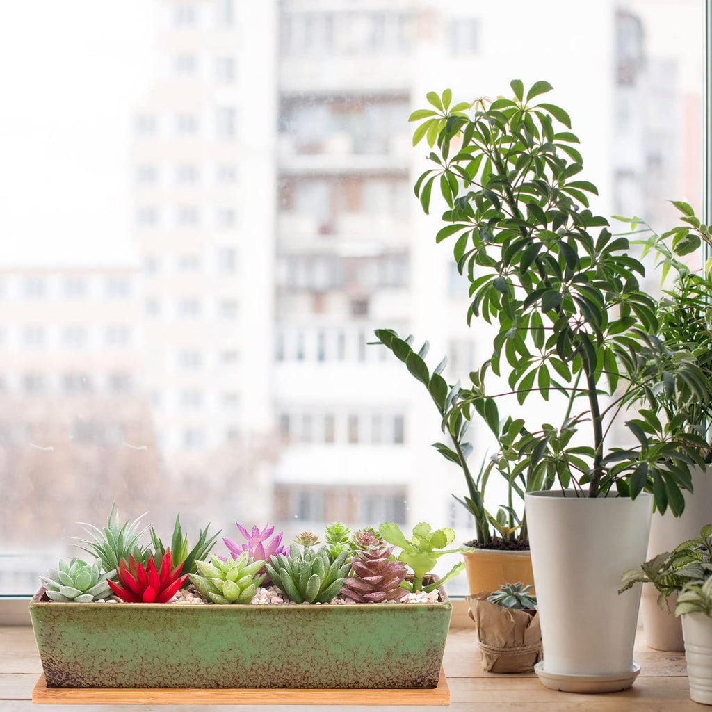 12.1 Inch Large Succulent Planters Pots with Drainage Tray, Long Rectangle Ceramic Pots for Indoor Cactus/Succulent