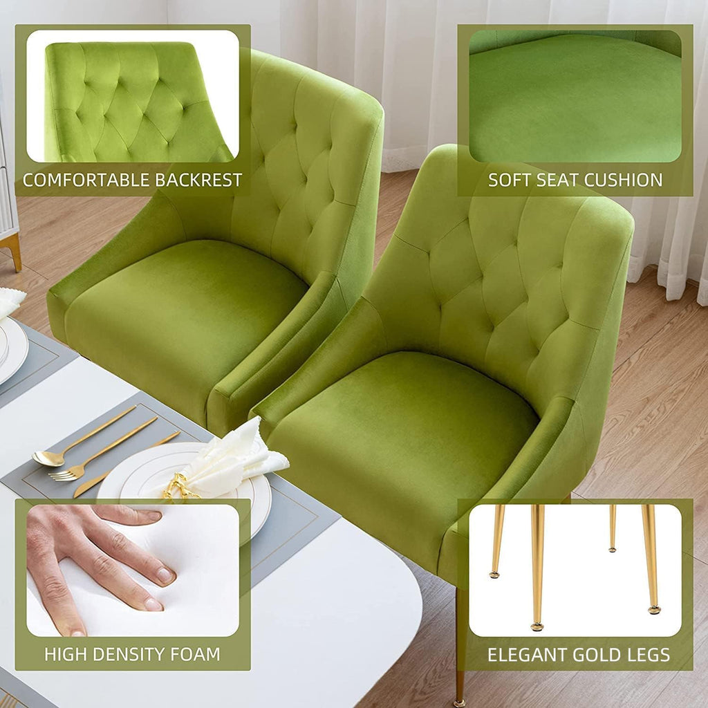 Modern Dining Chairs Set of 4, Mid Century Chairs with 5.12" Cushions and Golden Legs, Velvet Upholstered Dining