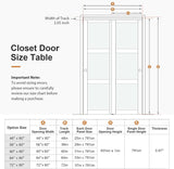 60x80 in (Double 31in) Bypass Sliding Closet Door for Bedroom, 3-Lite Frosted Glass Sliding Door wit