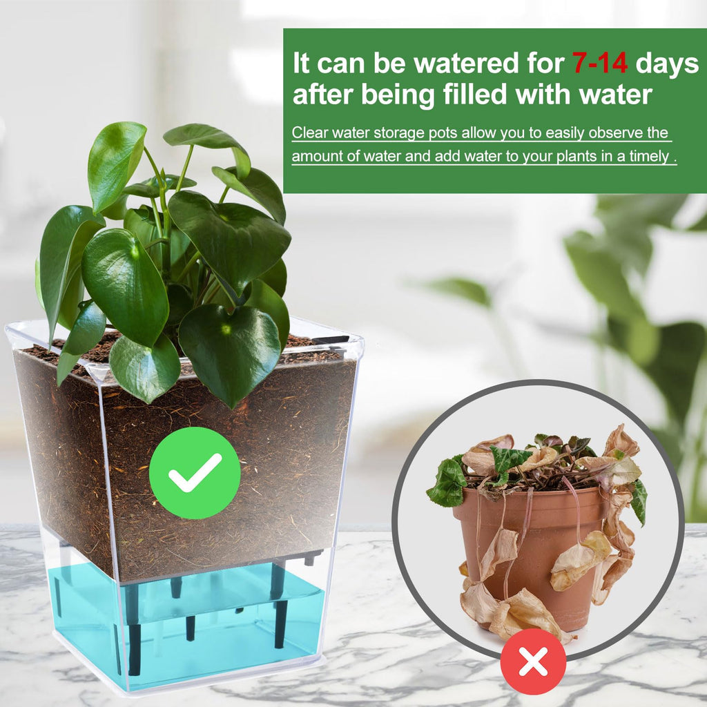 Self Watering Pots Set, Clear Self Planter Pot for Indoor Plants