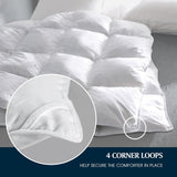 Goose Feather Down Fiber Cotton Comforter Queen - 100% Cotton Duvet Insert