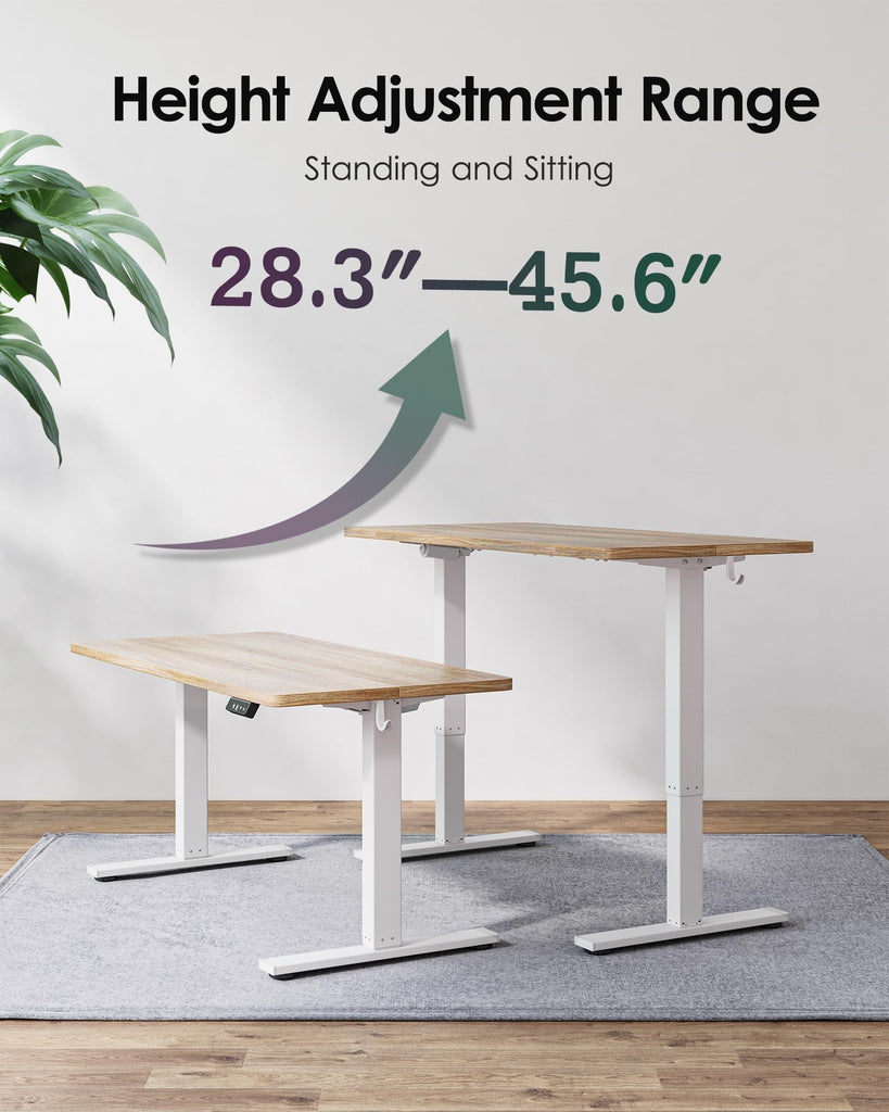 55 X 24 Inch Height Adjustable Electric Standing Desk, Maple