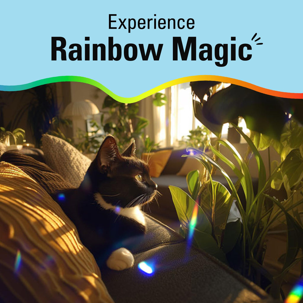 Solar Powered - Prism Suncatcher, Fun Home Window Decor - Unique Gift for Christmas & Birthdays - Heart Shaped