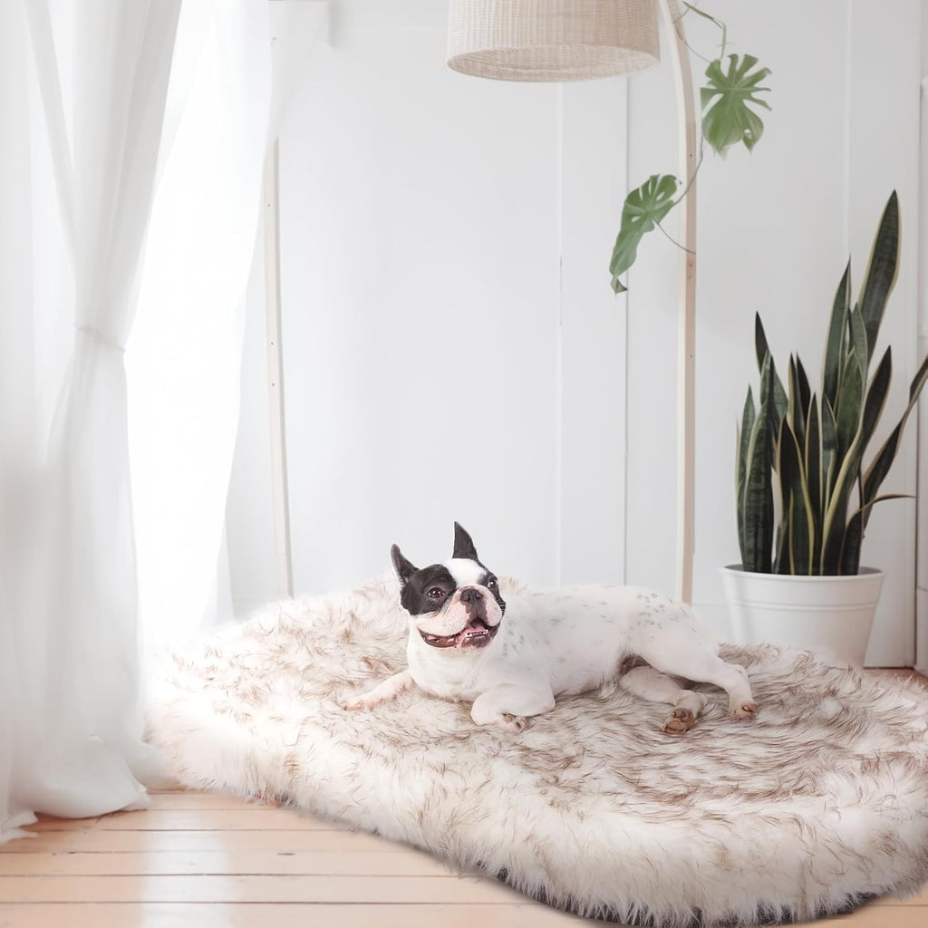 Luxury Faux Fur Dog Bed, 5 in Memory Foam(40L x 25W x 5H in, White)