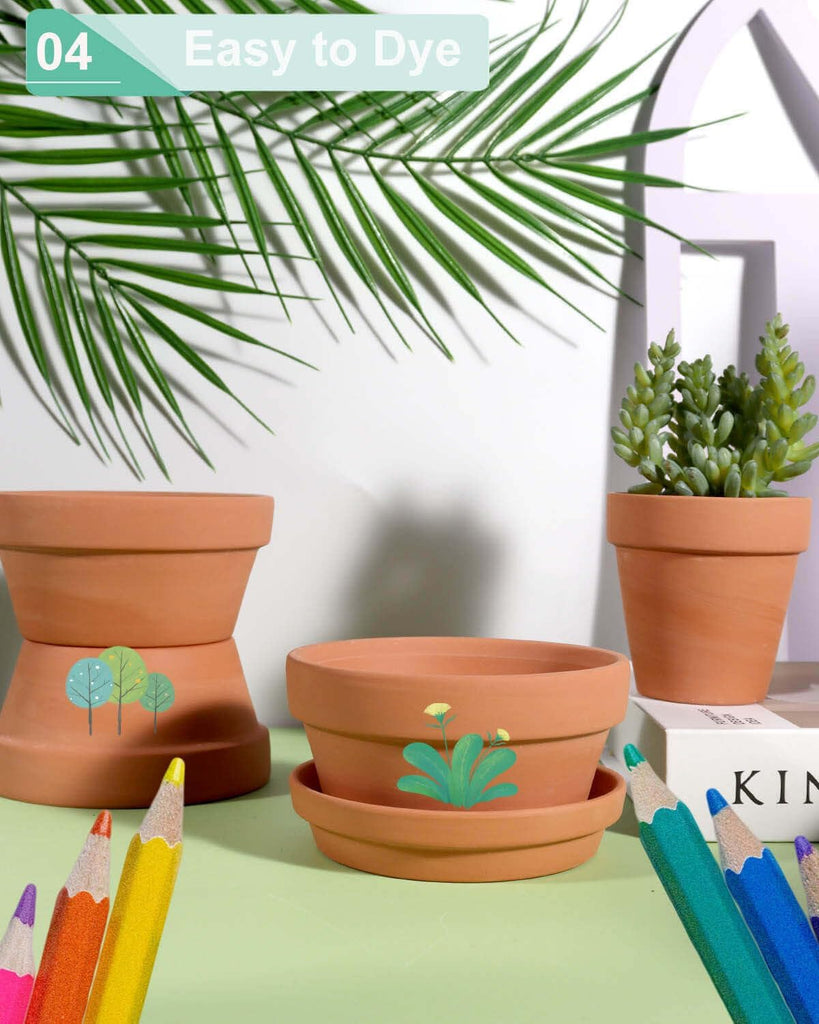 5.7 Inch Terracotta Shallow Succulent Pot - 6 Pack Terra Cotta Clay Pots with Saucer, Cacuts Terra-Cotta Indoor and