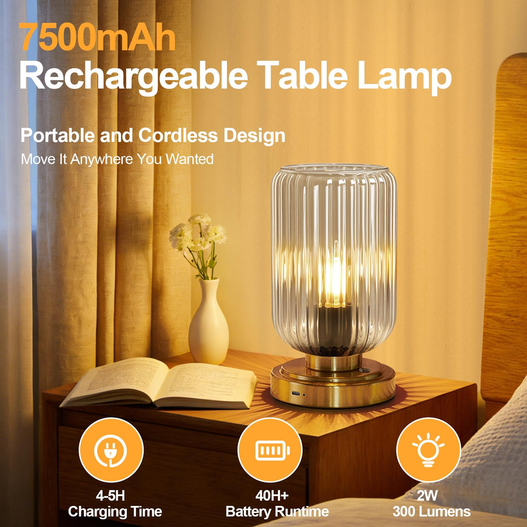 Cordless Table Lamp, Touch Stepless Dimmable