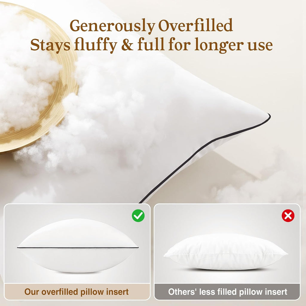 20x20 Pillow Inserts, Fluffy Overfilled Down Alternative Decorative Pillows, Soft Plush Throw Pillows - Set of 2