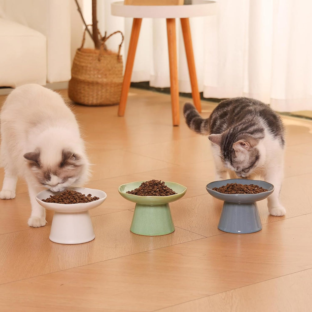 Wide Shallow 6.1" Raised Cat Bowls, Ceramic Elevated Food Bowl for Flat Faced Cats and Small Dogs, Porcelain Feeder