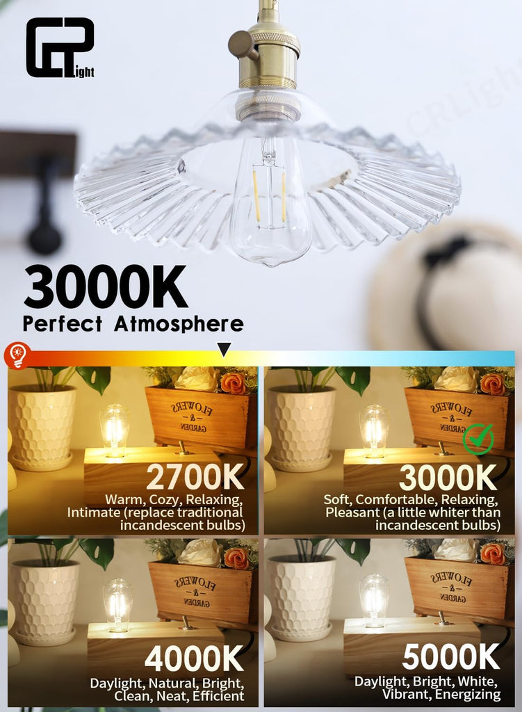 2W Dimmable LED Edison Bulb ST14 E26 3000K Soft White, 8 Pack