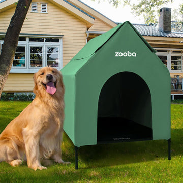 36in Large Dog House Outdoor, Elevated Dog Bed with Canopy, Green