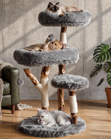 Solid Wood Cat Tree, Boho Modern Cat Tree Tower with Real Branch