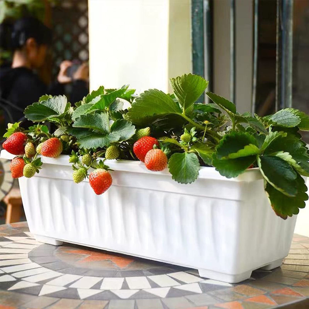 Window Box Planter, 6 Pcs 17" Flower Rectangle Planter Boxes Outdoor, White