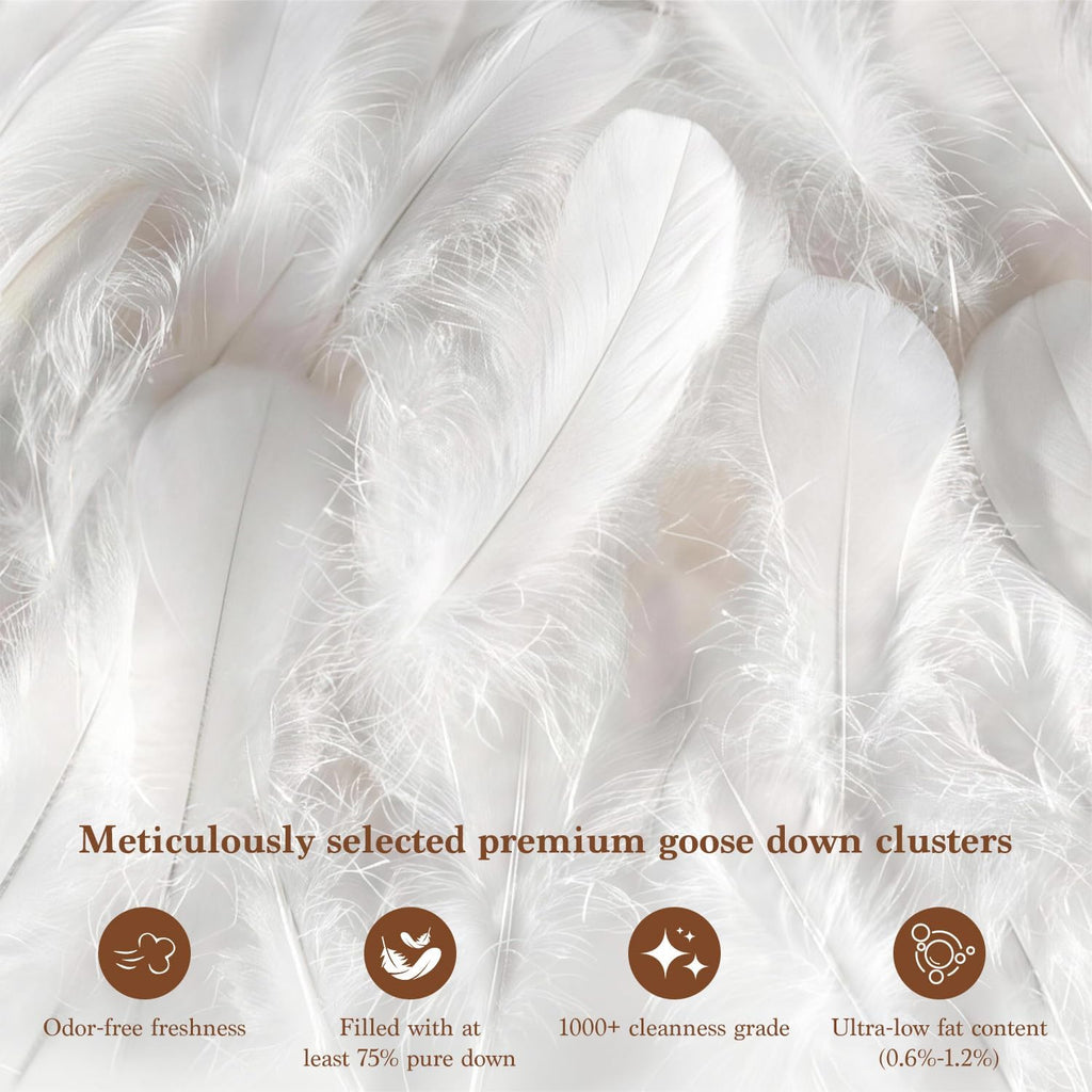 Goose Down Comforter Oversize King Size, 600 TC Cotton Cover