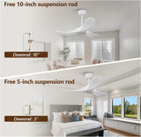 Inspired Maverick Style 36 Inch Solid Wood Ceiling Fan with Remote,White Ceiling Fan no Light,6 Speeds,Noiseless,Reversible DC Motor,Modern Ceiling Fans without Lights for Outdoor Indoor Bedroom Farmhouse,Patios A101-B0DFTDTVZZ