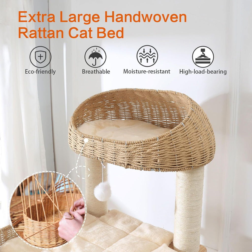 Wooden Cat Tree for Indoor Cats, 62 in Tall Cat Tower