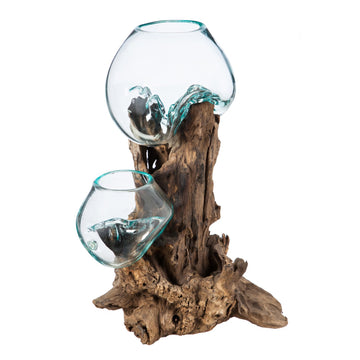 12" Hand-Blown Blue Tinted Bubble Glass On Natural Teak Driftwood Terrarium Kit | Home Décor Indoor Planter with