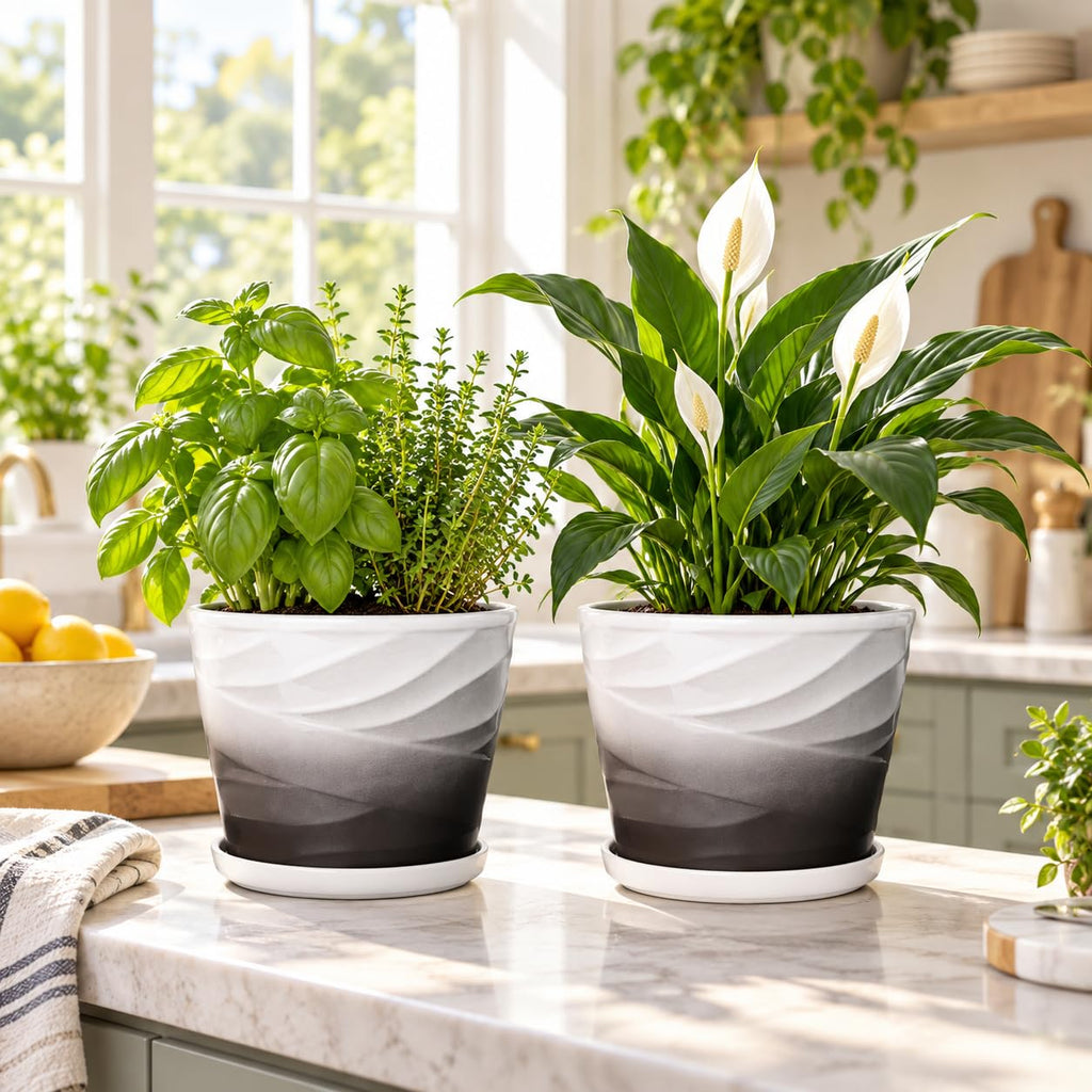 Ceramic Plant Pots, 6 Inch, Set of 2