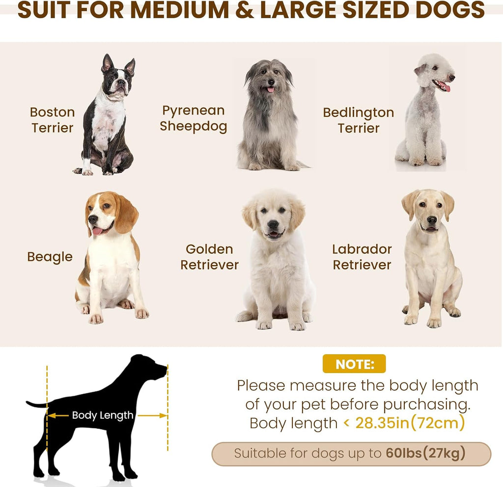 Elevated Dog Sofa with Backrest and Armrests, Button Tufted Dog Couch Bed with Soft Cushion for Medium Dogs, Stylish