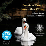 75% Canadian Goose Down Comforter Queen, Ultra Soft 100% Cotton Fabric, 850 Fill Power All Season Du