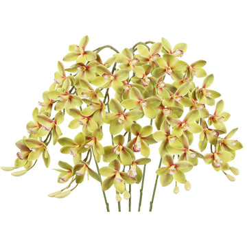 5 Pcs Real Touch Orchids Green Latex Artificial Orchid Stems for Wedding Party DIY Bridal Bouquet Table Centerpiece