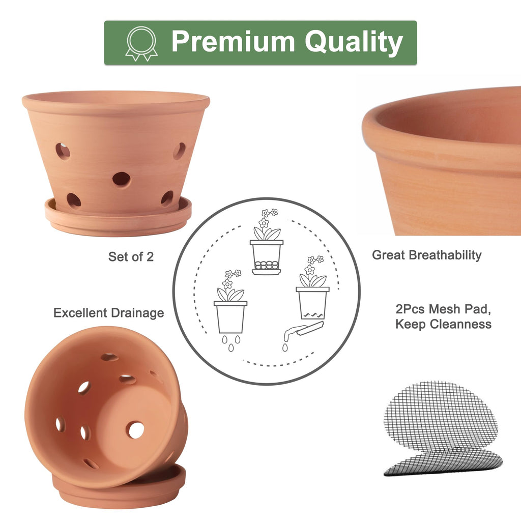 8 inch Terracotta Orchid Pots with Holes and Saucers, 2 Pack Clay Orchid Planter Pots for Repotting, Large Terra