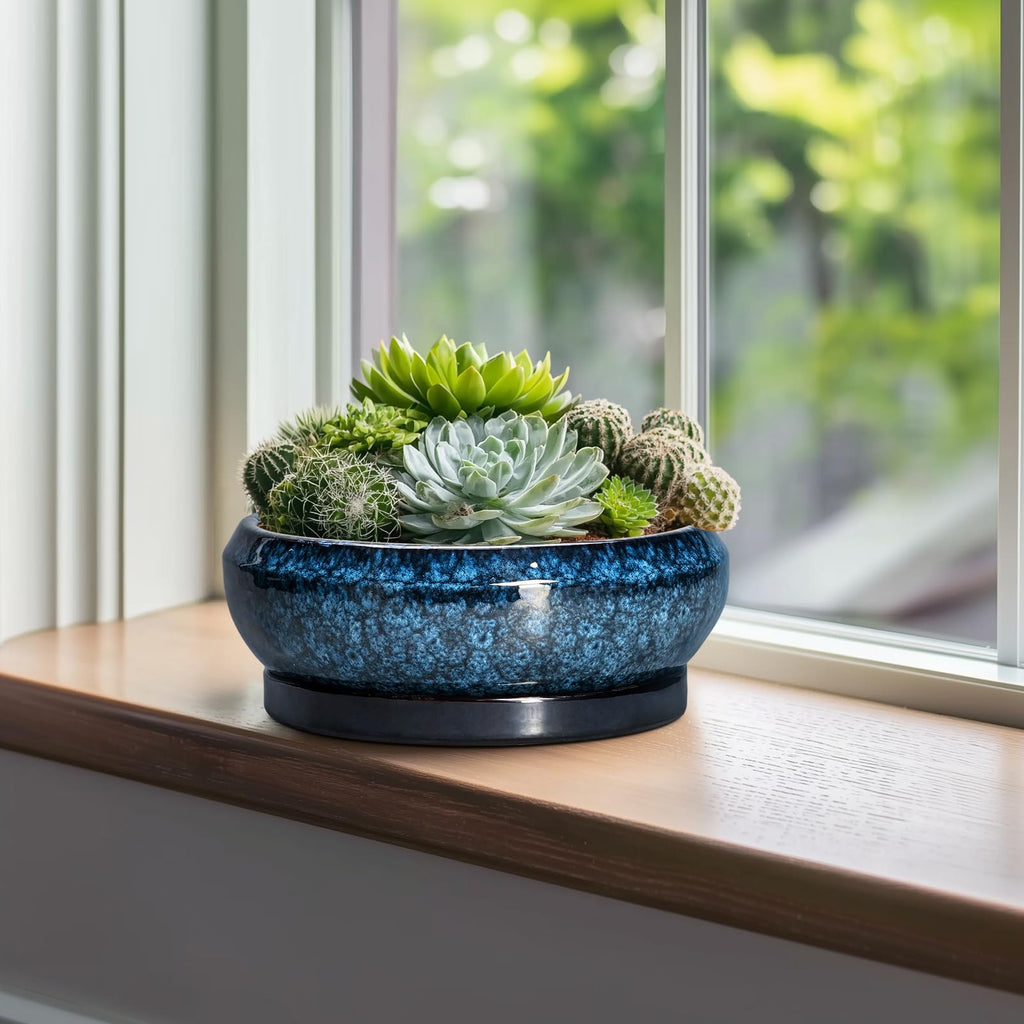 Bonsai Tree Pots 10 Inch - Ceramic Succulent Pot with Drainage Hole and Saucer, Bonsai Pots for Indoor Outdoor, Round