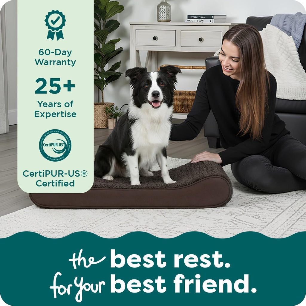 Orthopedic Dog Bed for Dogs w/ Removable Washable Cover, For Dogs Up to 38 lbs - Ultra Plush Faux Fur &