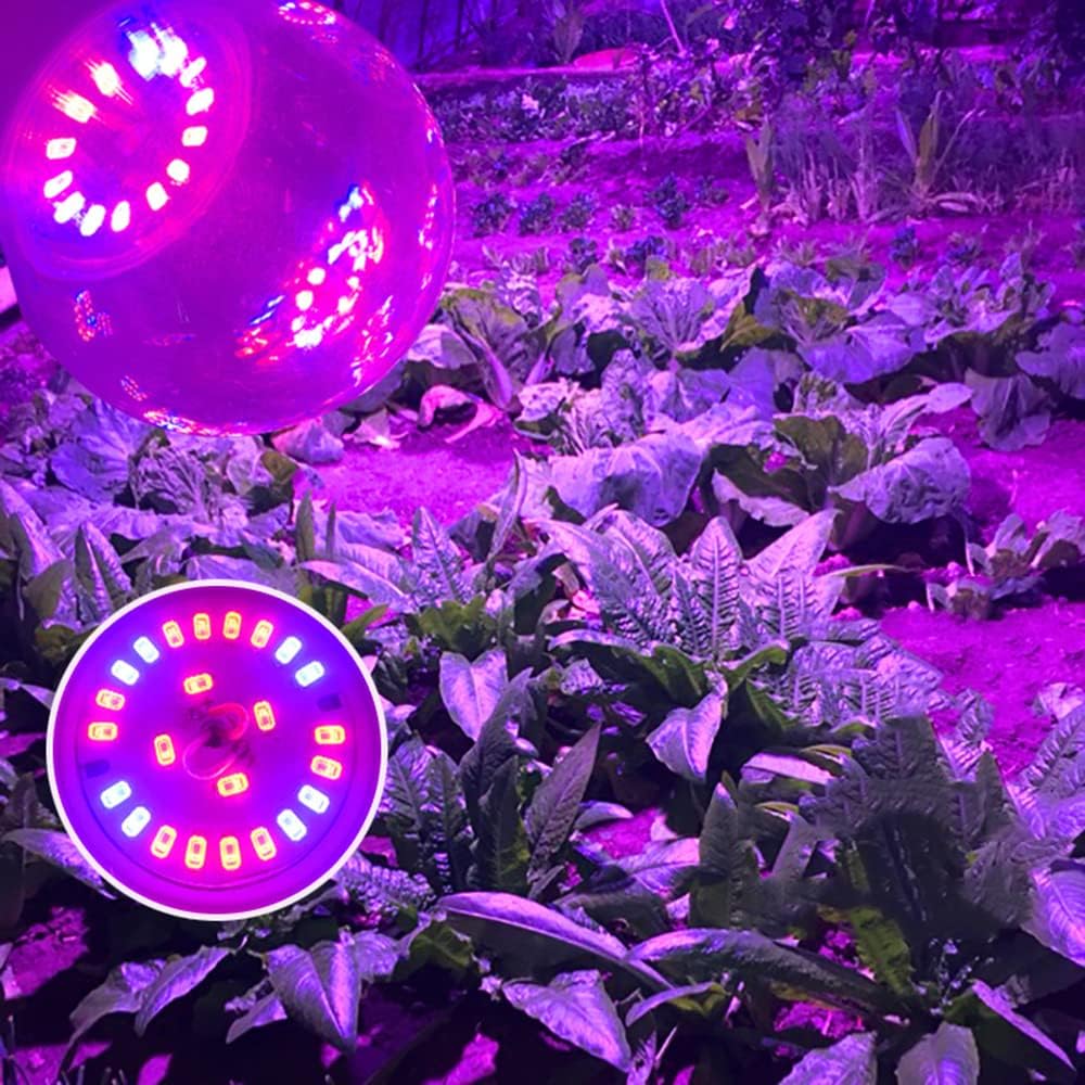 Grow Light Bulbs for Indoor Plants - Full Spectrum E26 A19 LED Lamp Bulb 12W - Balanced Spectrum 5000K with Red &