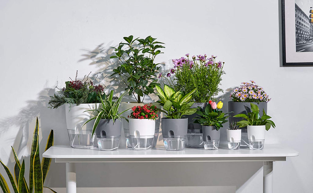 Self Watering Planter for Indoor Plants, 2 Pack 9.3 Inch Flower Pot Modern Decorative Plastic Planter with Extra