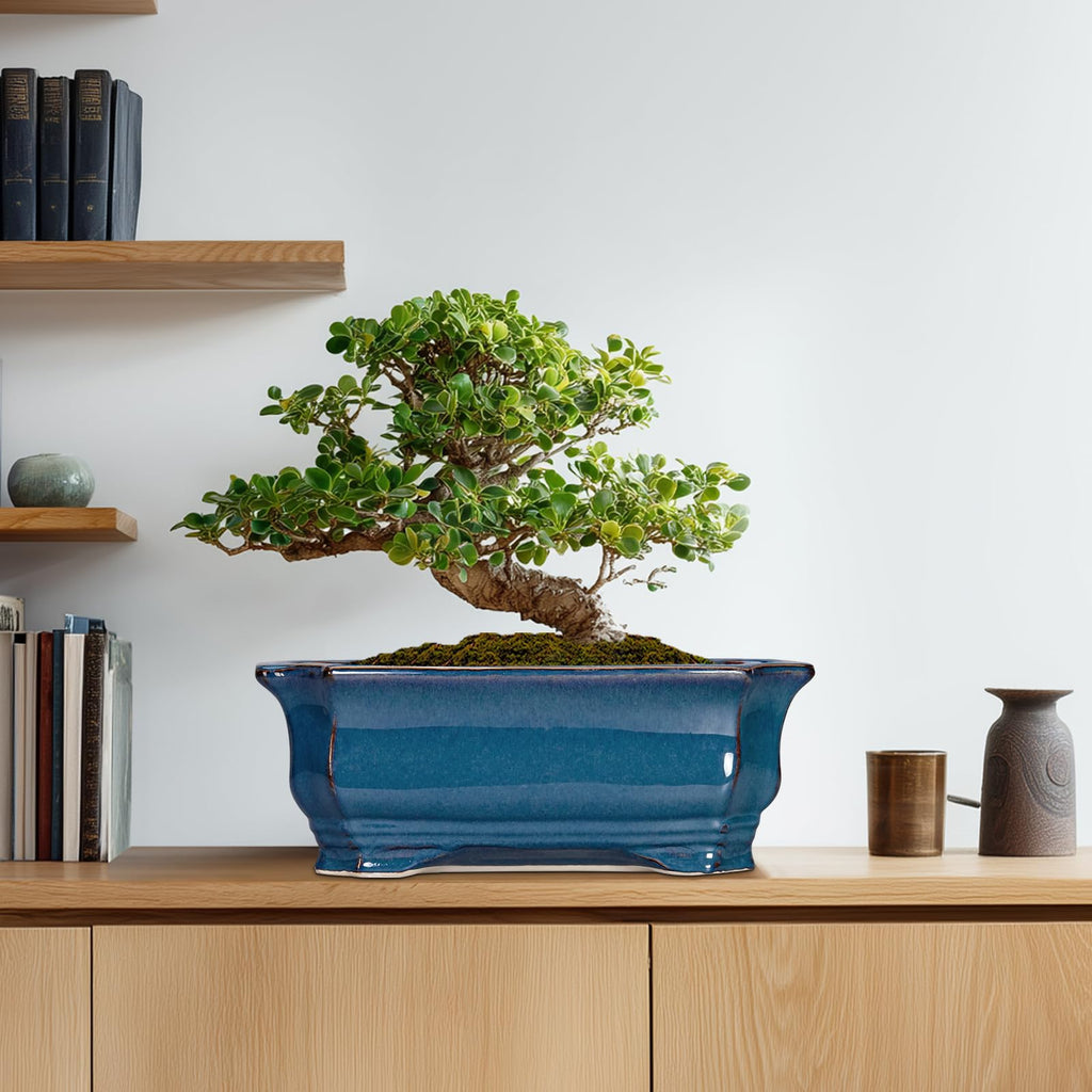 Bonsai Tree Pot - 13.7 Inch Large Ceramic Succulent Planter for Indoor Outdoor, Rectangle Plant Pot with Drainage