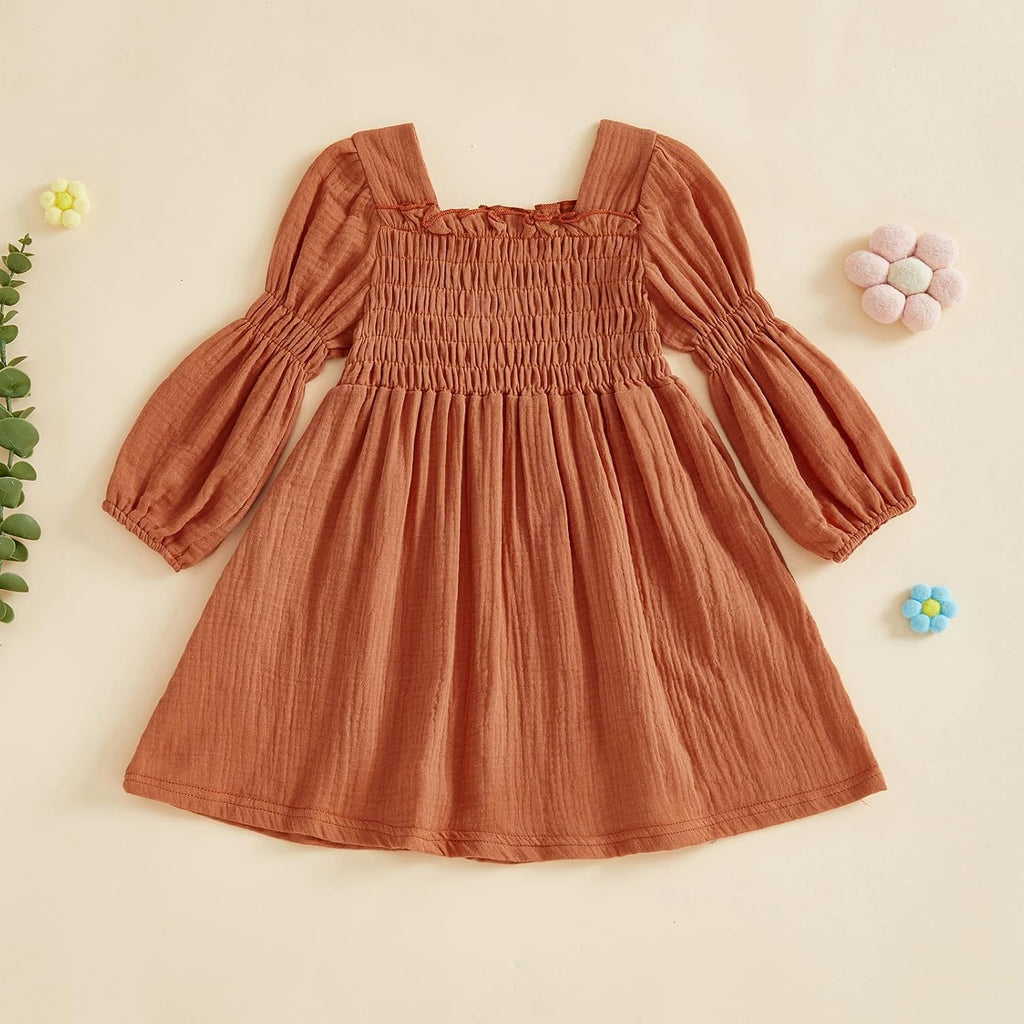 Toddler Girl Smocked Dress Lantern Long Sleeve Solid Color Casual A Line Little Girl Dresses Fall Winter Clothes