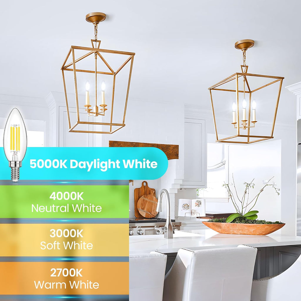 E12 LED Candelabra Light Bulbs 40W Equivalent Daylight White 5000K