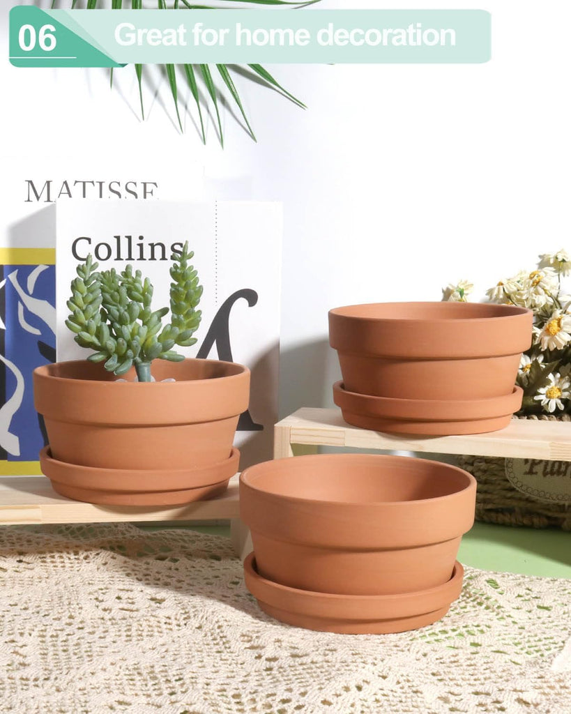 5.7 Inch Terracotta Shallow Succulent Pot - 6 Pack Terra Cotta Clay Pots with Saucer, Cacuts Terra-Cotta Indoor and
