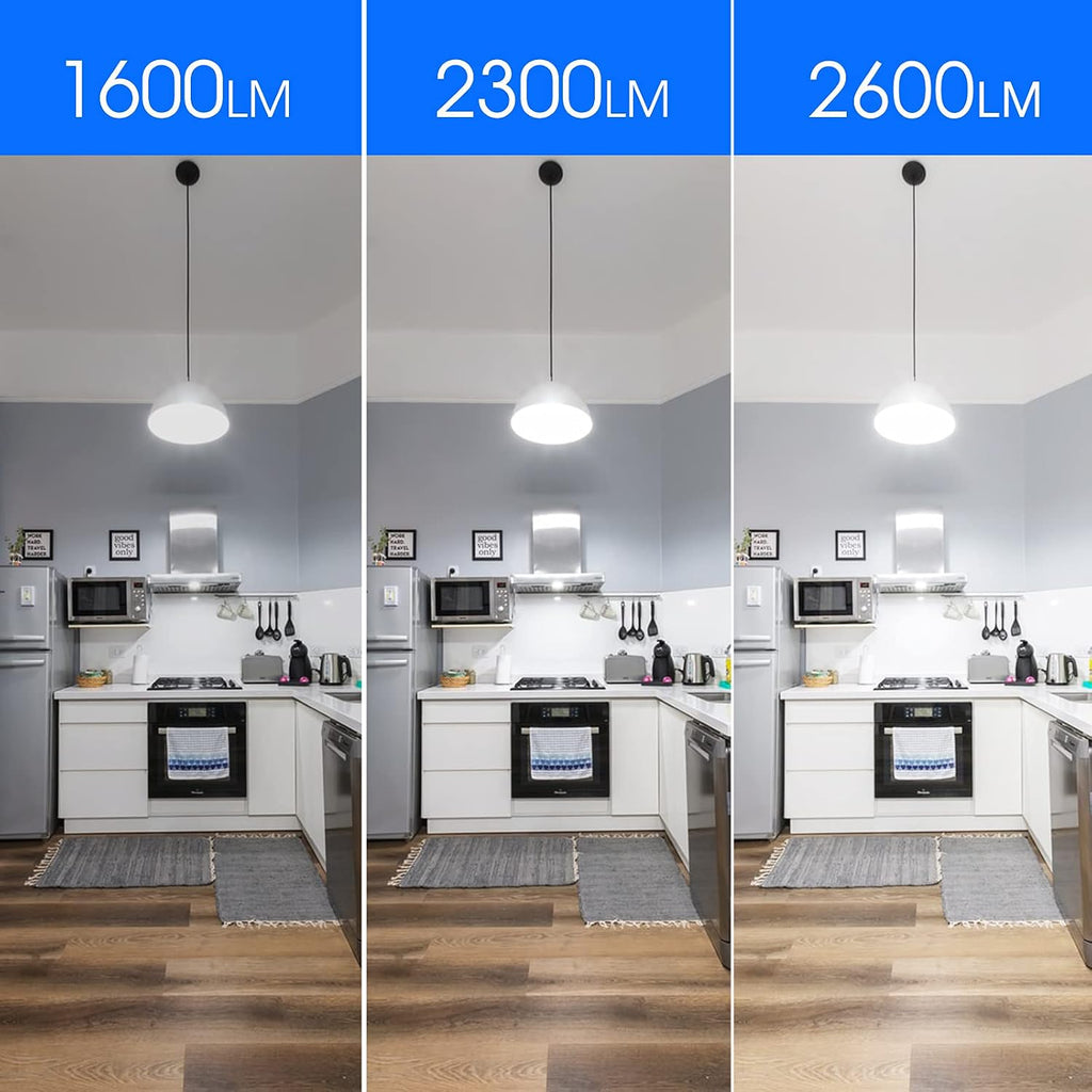 Super Bright Light Bulb 150 Watt Equivalent A21 LED Light Bulb, Daylight 5000K, E26 Base, 2600 High Lumens LED Bulb