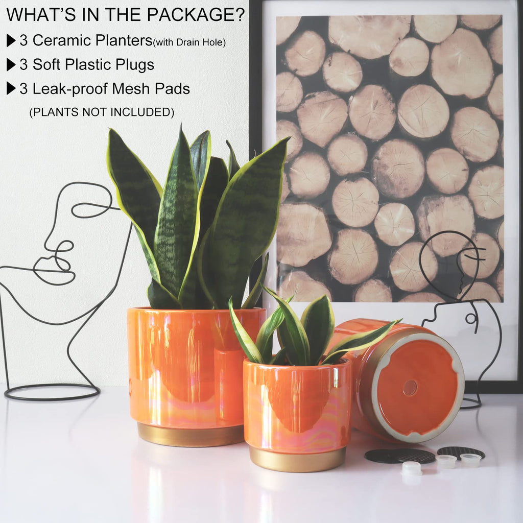 Ceramic Plant Pots for Indoor Plants, Planters with Drainage Holes