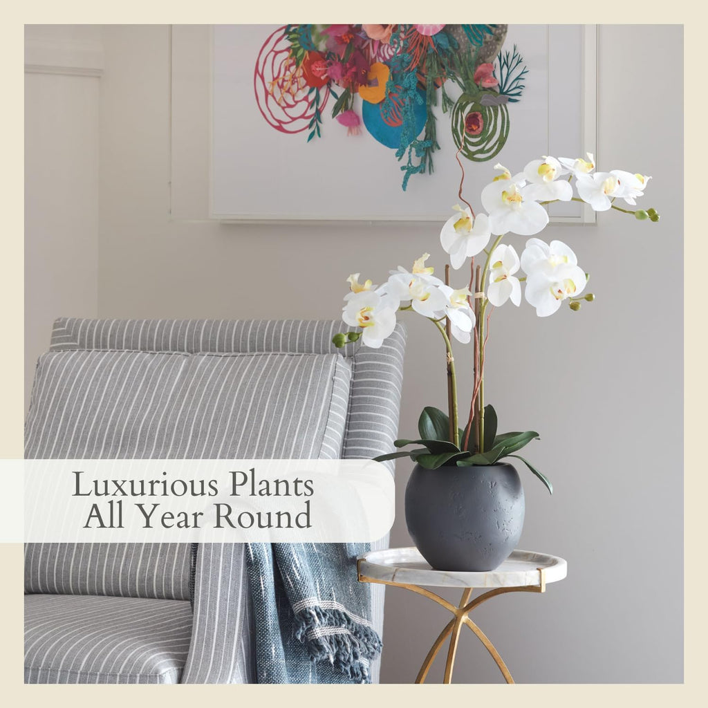 Faux White Orchid Plant, 25 in, Grey, Home Decor