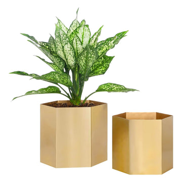 Metallic Brass Metal Hexagon Planter Pots Set of 2 Handmade in India