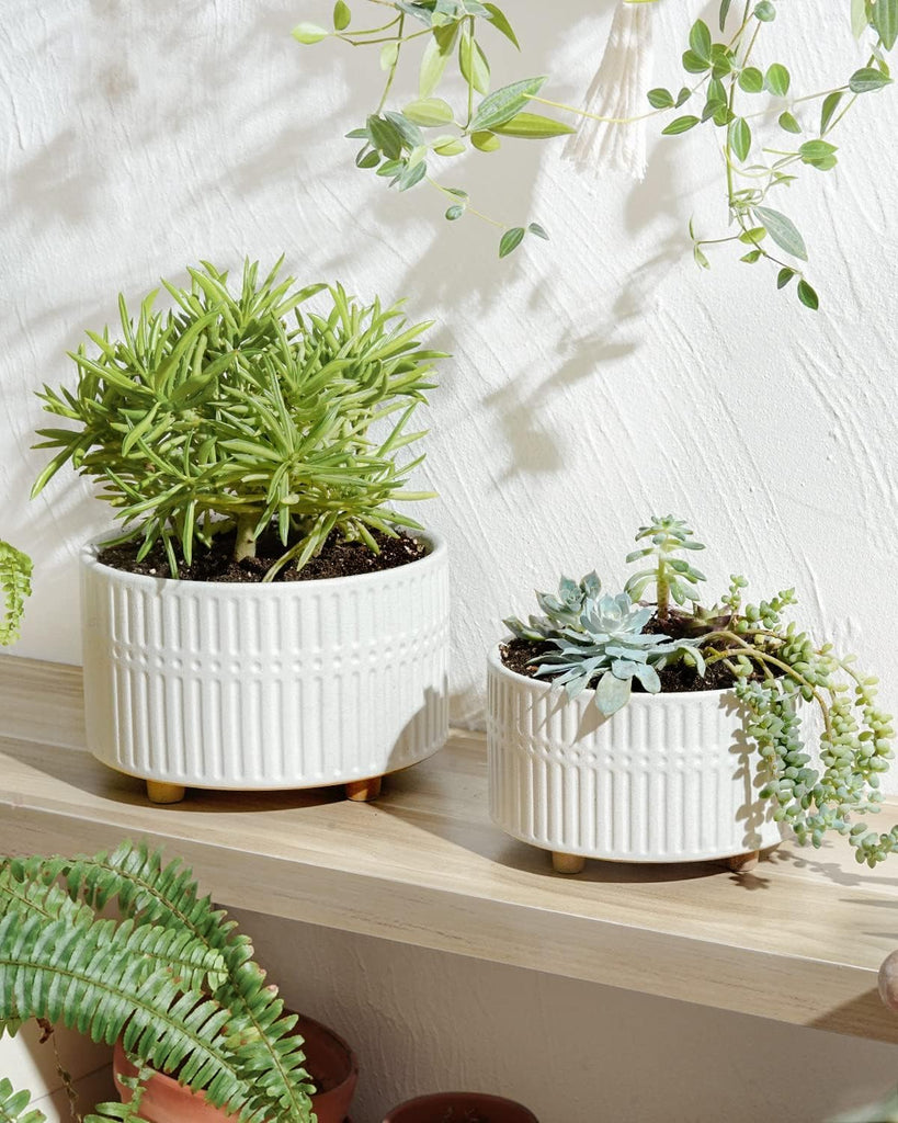Succulent Pots, 6.5+8 Inch Ceramic Indoor Plant Pot with Drainage Hole, Shallow Round Succulent Planters, Set of 2