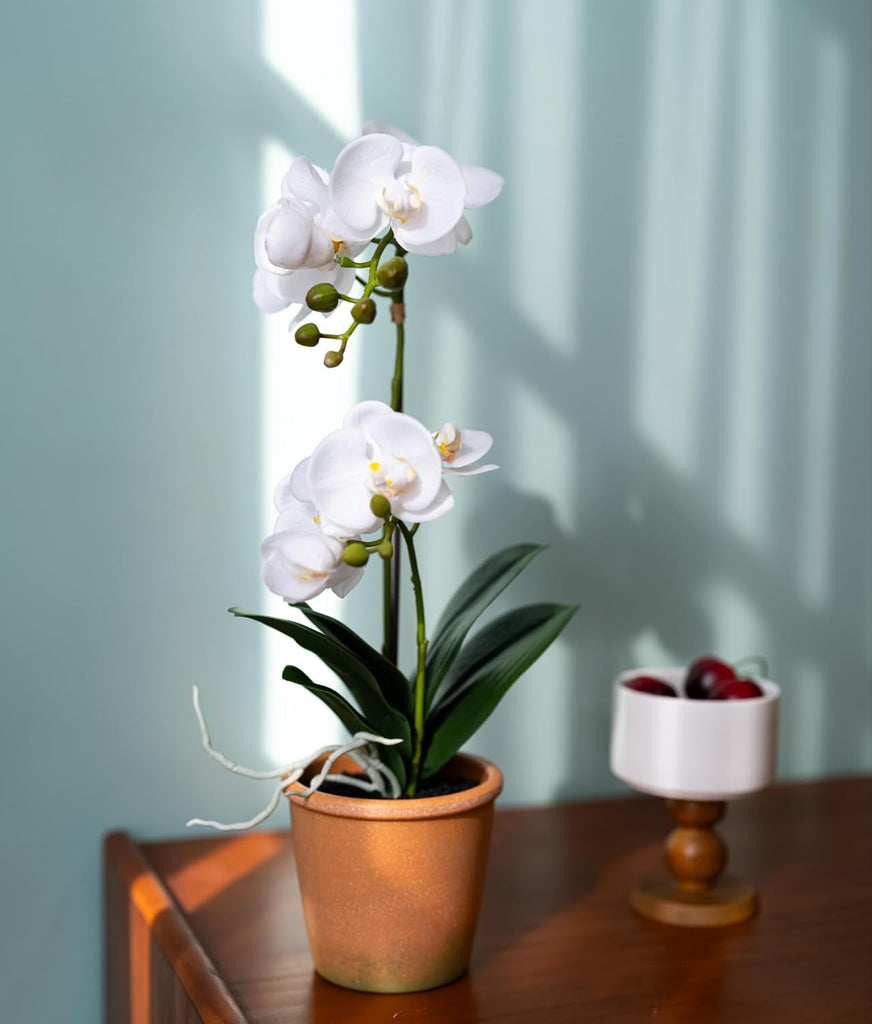 15-Inch Real Touch Artificial Phalaenopsis Orchid in Pot, White