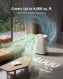 70 Pint/Day Compressor Dehumidifier for Home up to 4,000 Sq.Ft, Dehumidifier with Drain Hose, Humidity Control