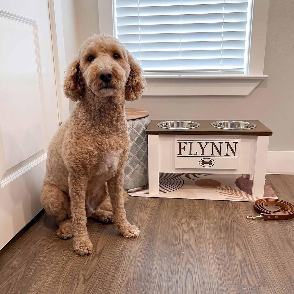 Elevated Dog Bowls for Large Dogs, Personalized Food Stand for Large Breed