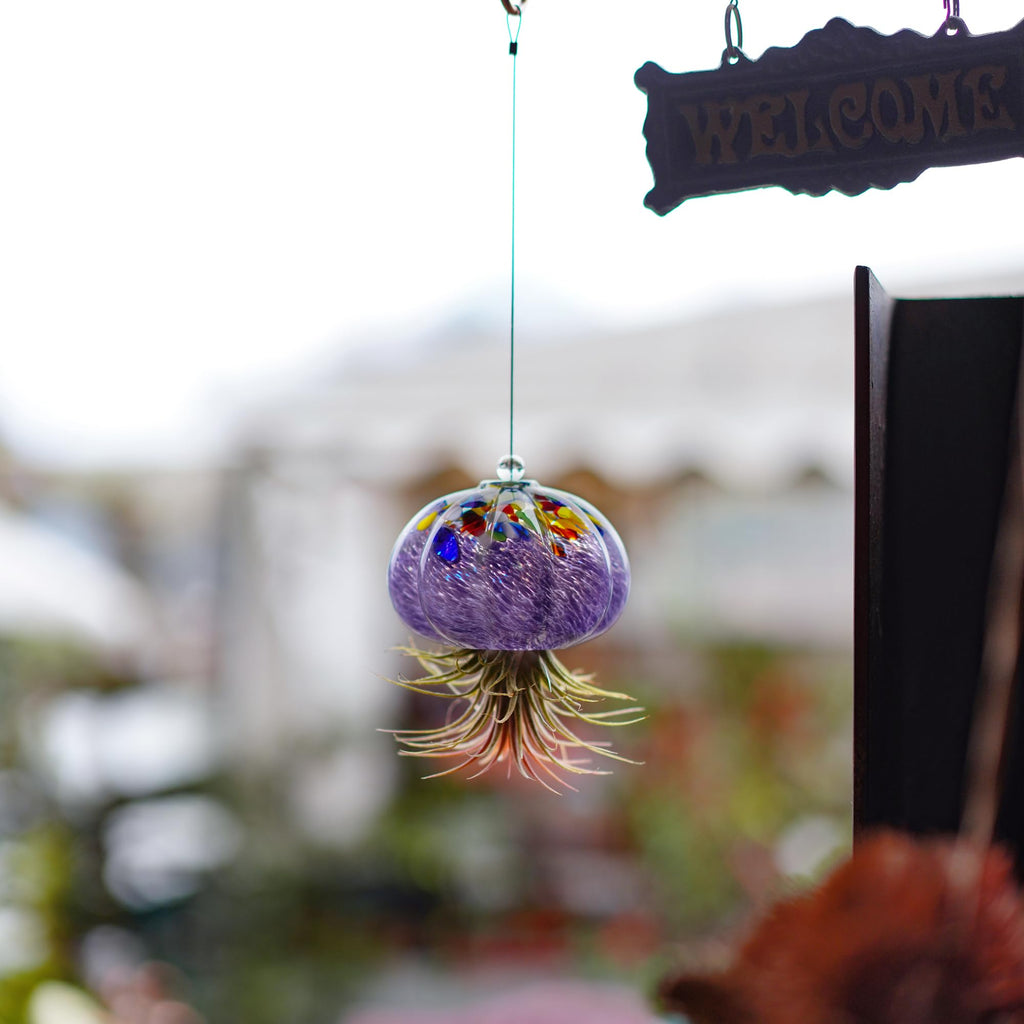 Hand Blown Glass Jellyfish Air Planter Hanging Garden Decor