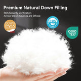Organic 75% Down Fiber Comforter Oversize Queen,850+FP,1200TC,Extra Fluffy,Hotel Style,Luxury Ultra 