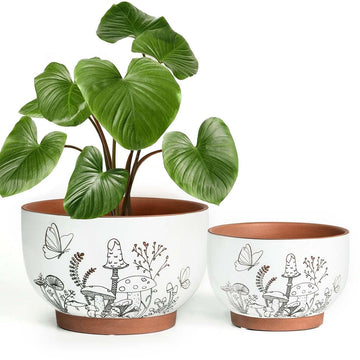 Terracotta Pots, 8+6 Inch Plant Pots, 2 Pcs with Drainage Holes