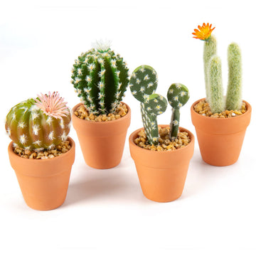 Mini Artificial Cactus Plants in Terracotta Pots 4 Pcs Potted Faux Succulents in Pots Fake Potted Plants Cactus Decor