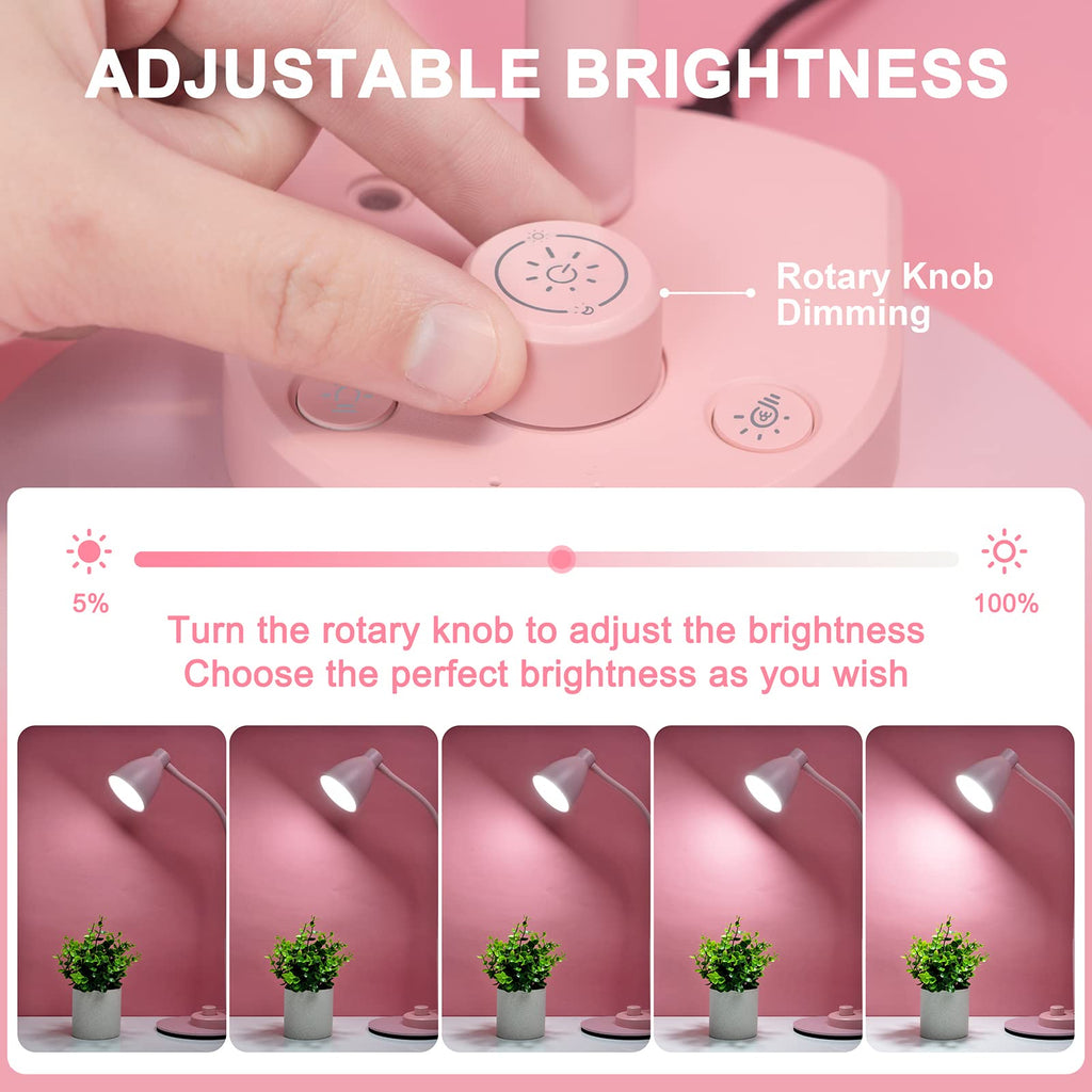 Cute Desk Lamp with USB Charging Port, 3 Color Modes Dimmable, Pink